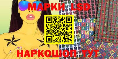 spice Заводоуковск