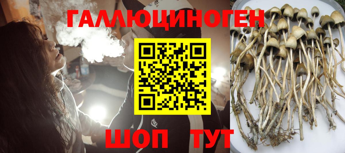 Красноярск  Псилоцибиновые грибы Magic Shrooms  Псилоцибиновые грибы мицелий  Вход с VPN 